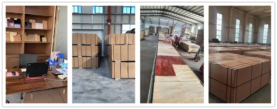 Hot Selling Film Faced Plywood for Constructions and Building